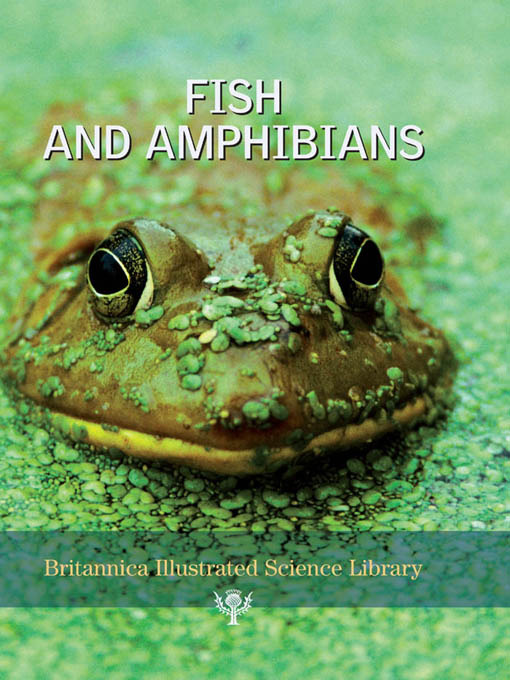 Title details for Fish and Amphibians by Sol 90 - Available